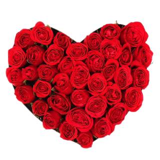 Floweraura Fresh Heart Shaped Flowers at Best Price
